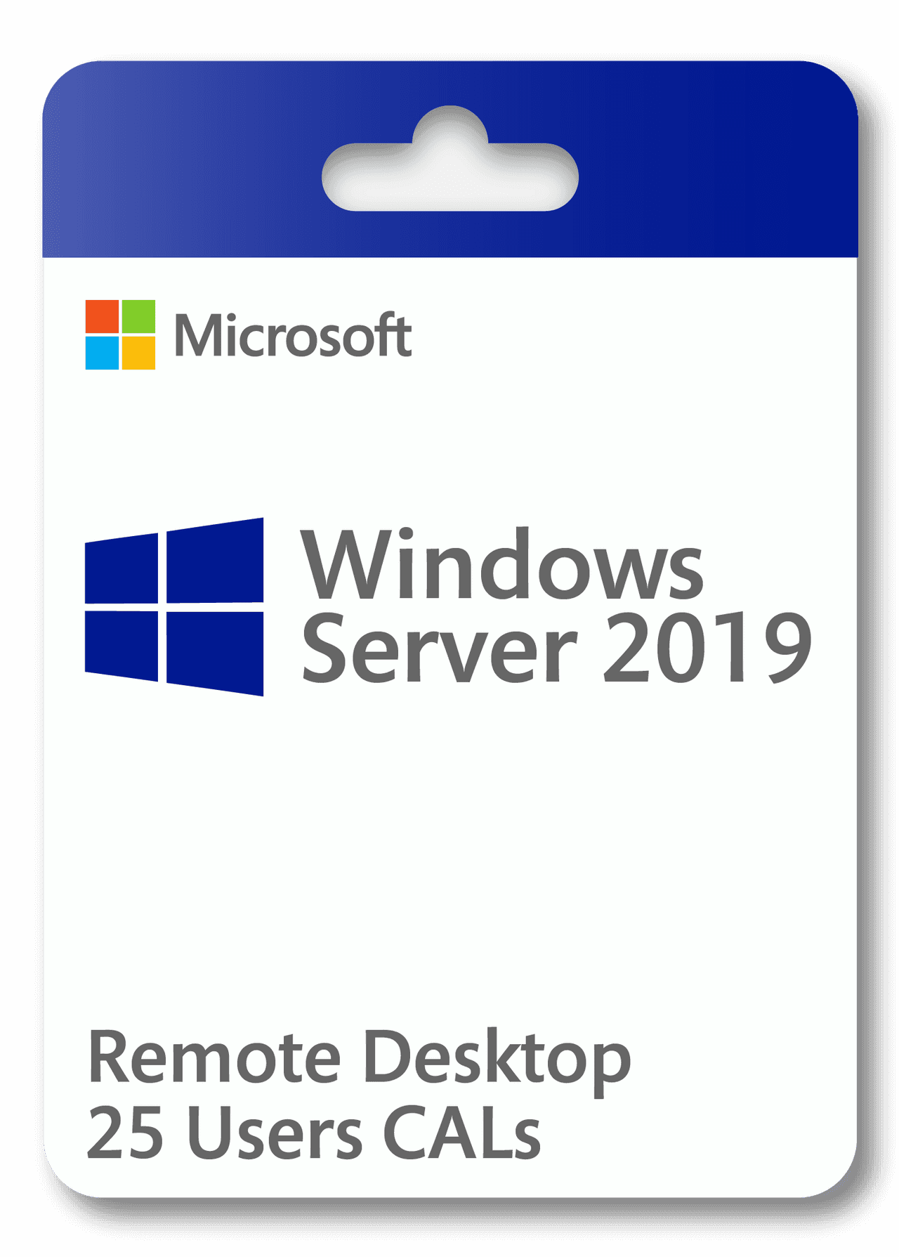 Microsoft Windows Server 2019 Remote Desktop 25 Users CAL