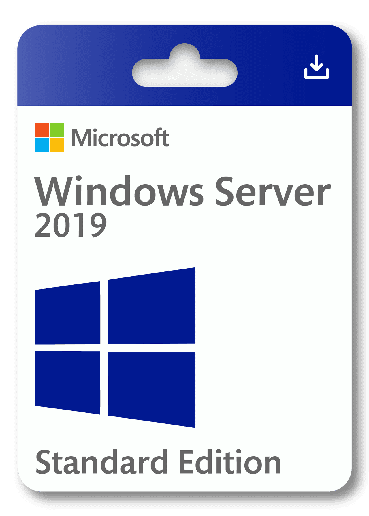 Microsoft Windows Server 2019 Standard Edition
