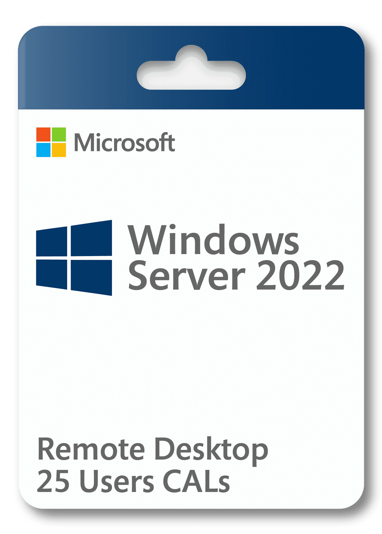 Microsoft Windows Server 2022 Remote Desktop 25 Users CAL