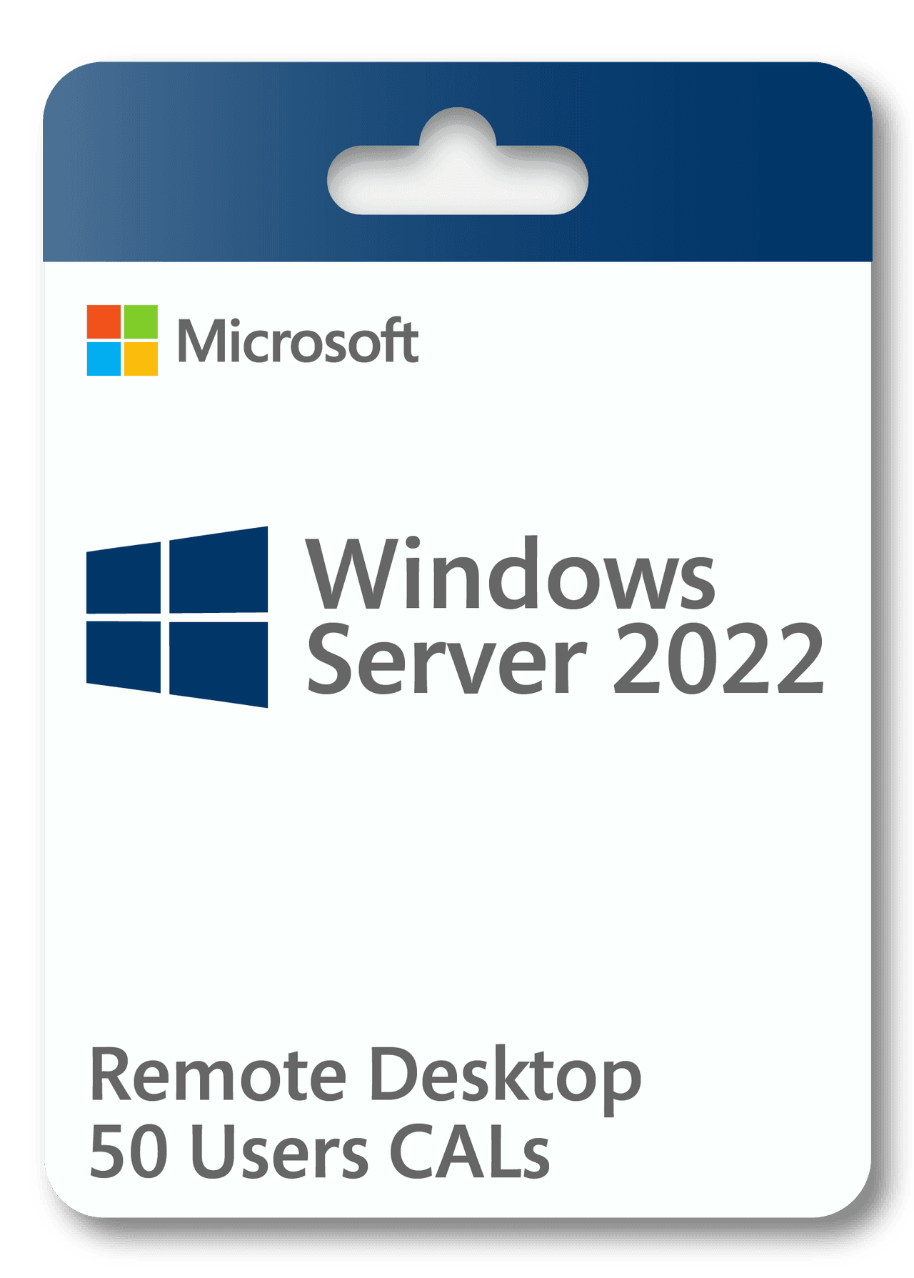 Microsoft Windows Server 2022 Remote Desktop 50 Users CAL