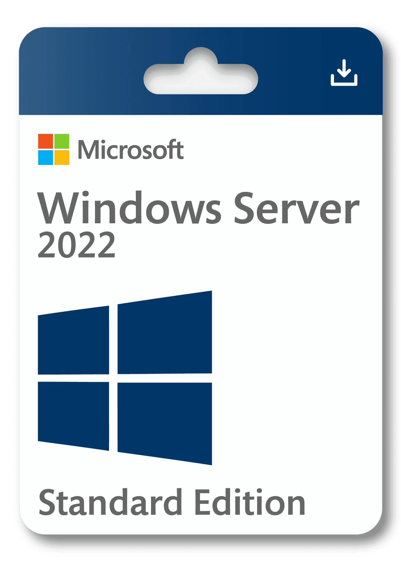 Microsoft Windows Server 2022 Standard Edition
