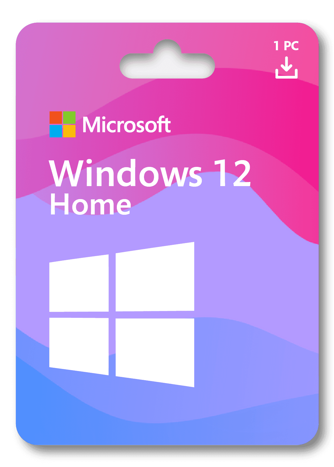 Microsoft Windows 12 Home