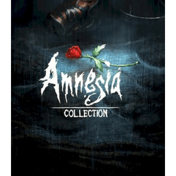 Product image of Amnesia: The Dark Descent