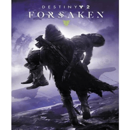 Product image of Destiny 2: Forsaken
