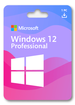 Product image of Microsoft Windows 12 Professional