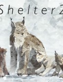 Shelter 2