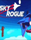 Sky Rogue